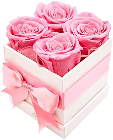 AROMEO Roses, A Gift That Lasts | Fresh Flowers for Delivery, Mothers Day Gifts, Pink Roses, Mom, Gi | Amazon (US)