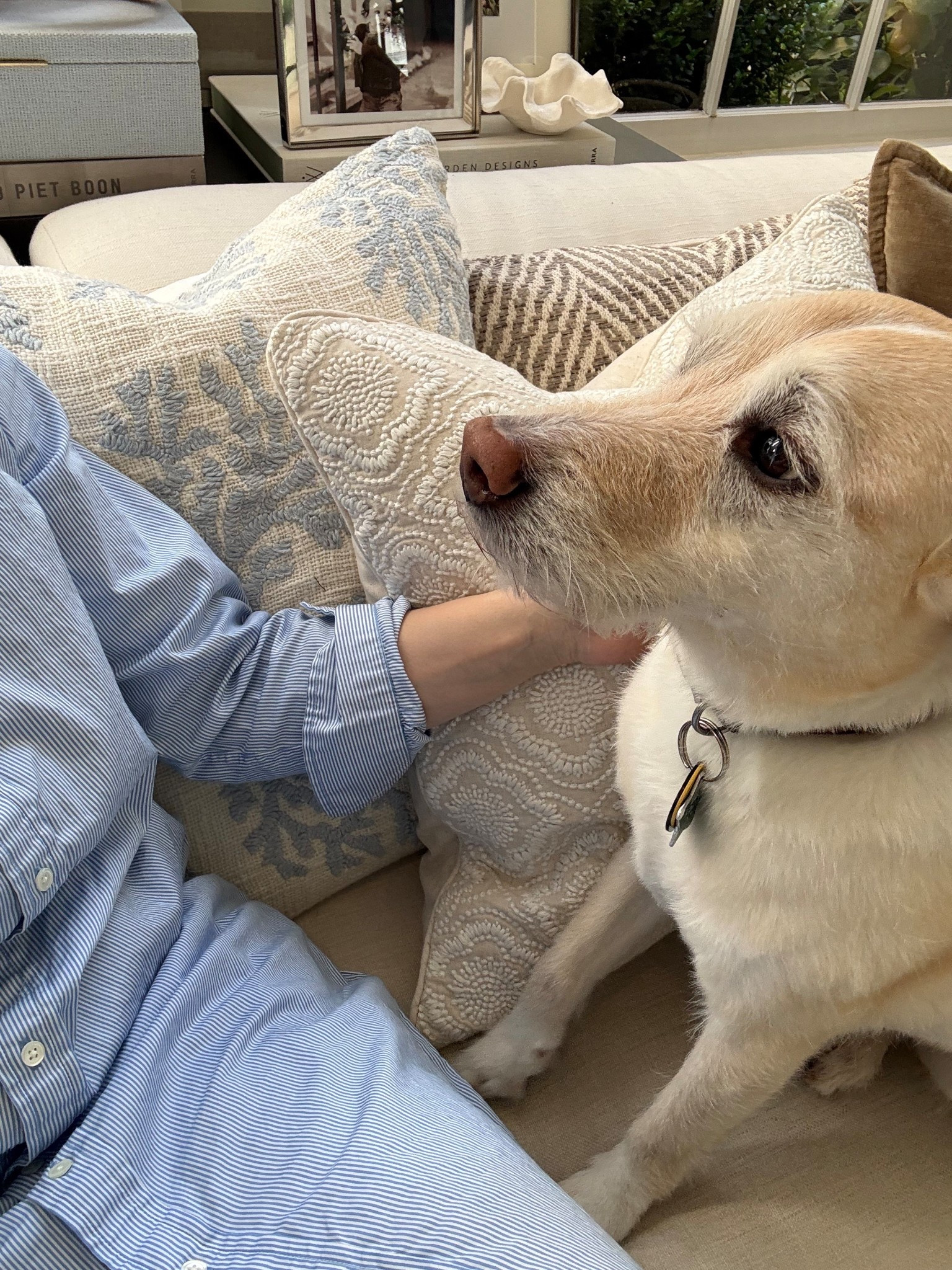 More mornings like this, please!

#LTKootd #LTKmomlife #LTKdayinmylife