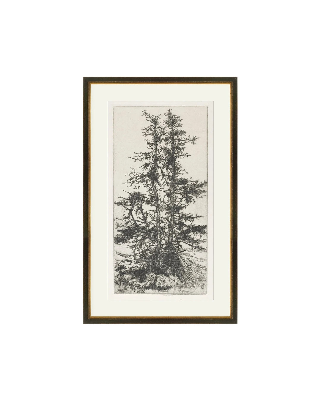 FRAMED Trees Etching 3 Vintage Trees Wall Art Tree Wall - Etsy | Etsy (US)