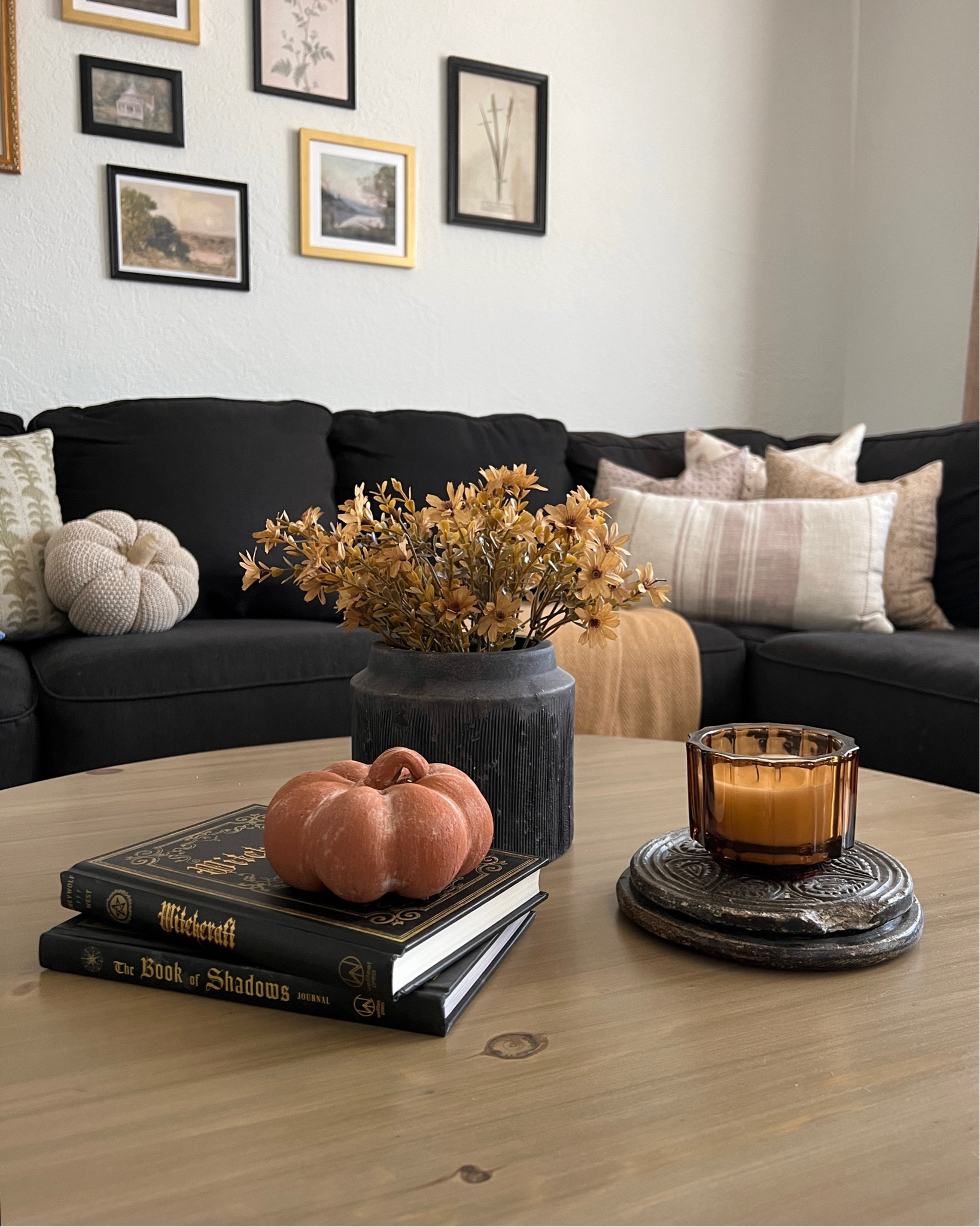 It’s just a bunch of hocus pocus ✨
I am having so much fun switching everything from spring to spooky 👻 Florals are from Dollar Tree!

halloween fall autumn spooky witchy seasonal vibes decorations coffee table aesthetic cottage vintage neutral transitional home decor design styling interior ideas inspo#LTKunder50 

#LTKHalloween #LTKSeasonal #LTKhome