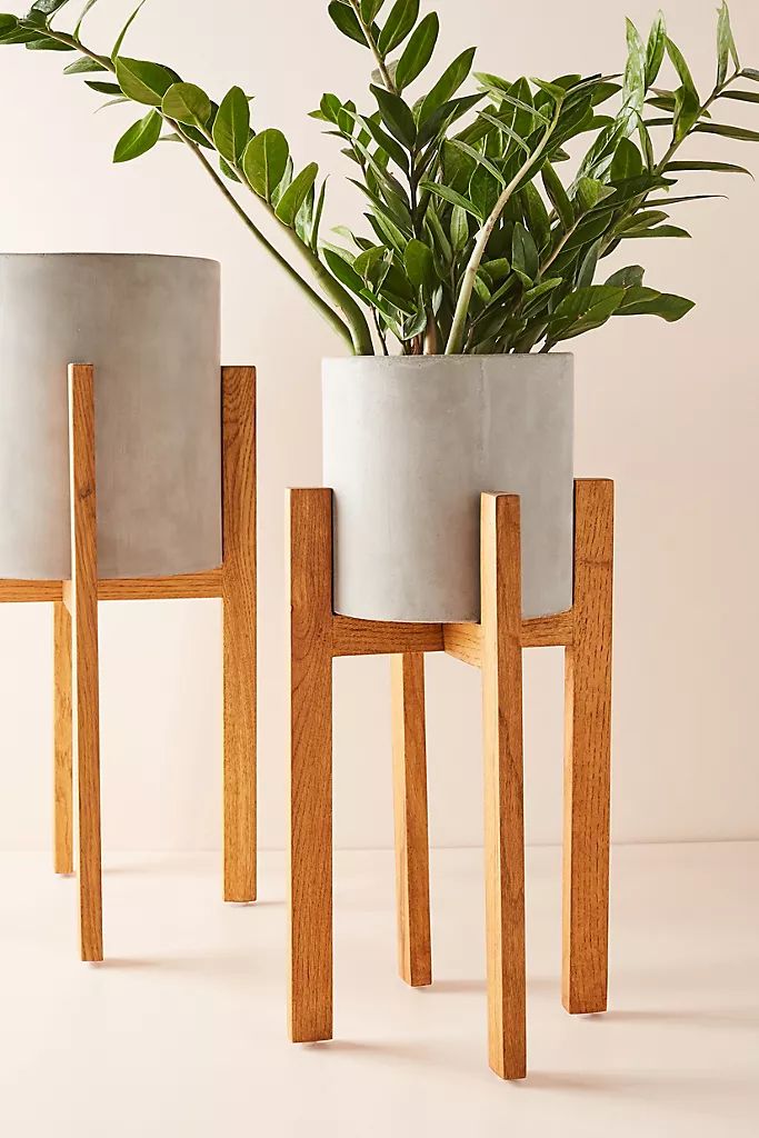 Cement Plant Stand | Anthropologie (US)