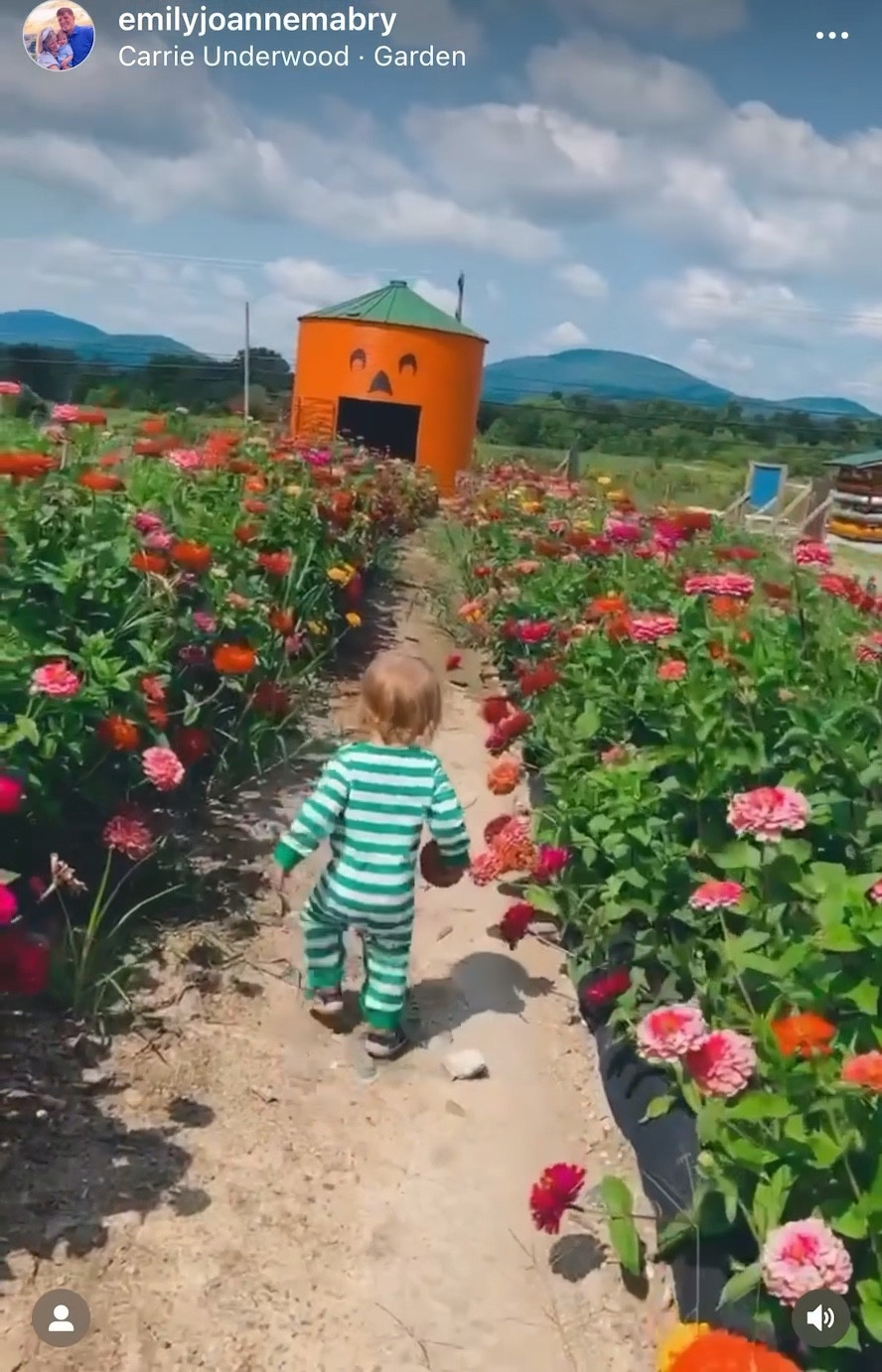 “And if your words were seeds that were goin’ in the ground
And your love was rain farmers prayed about
If your life was sunlight we all needed
What kinda world would it be?
If you reap what you sow
What kind of garden would you grow?
If you reap what you sow
What kind of garden would you grow?

Would you plant patience?
Would you keep kindness?
Would there be peace
Ripe on the vine?

If your words were seeds goin’ in the ground
And your love was rain farmers prayed about
If your life was sunlight we all needed
What kinda world would it be?

If you reap what you sow
What kind of garden would you grow?
Oh, if you reap what you sow
What kind of garden would you grow?” 🌱💐🎃

Currently been LOVING the lyrics of this new song “Garden” by my girl, @carrieunderwood !! Such beautiful truths and reminders for us all - especially this beautiful harvest time of year!! 🎶🌿🌞

“But the fruit of the Spirit is love, joy, peace, patience, kindness, goodness, faithfulness, gentleness, self-control…” // Galatians 5:22-23 🙏🏽✨🌈

#LTKSeasonal #LTKbaby #LTKfamily