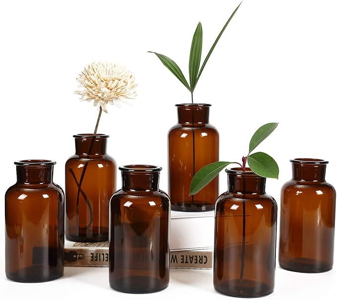 Amber Glass Vase, Bud Vases, Apothecary Jars, Decorative Glass Bottles, Small Glass Flower Vases,... | Amazon (US)