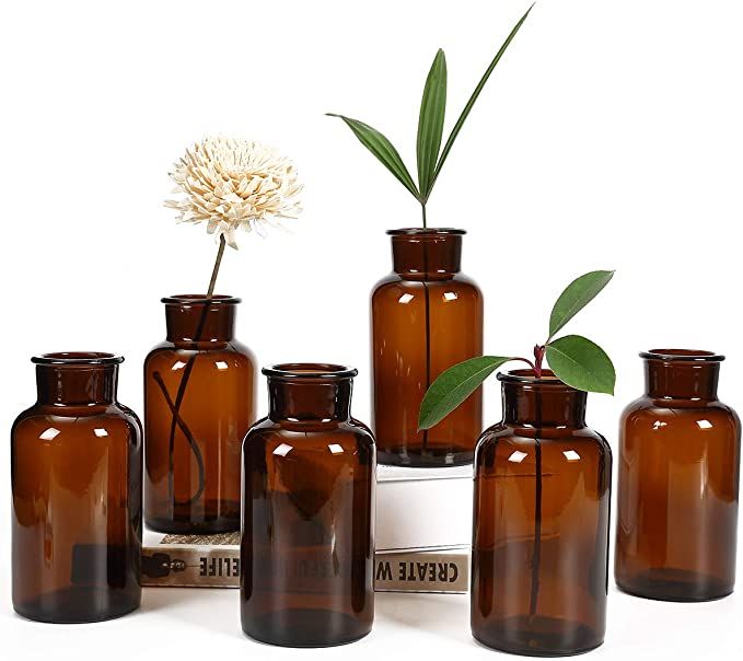 Amber Glass Vase, Bud Vases, Apothecary Jars, Decorative Glass Bottles, Small Glass Flower Vases,... | Amazon (US)