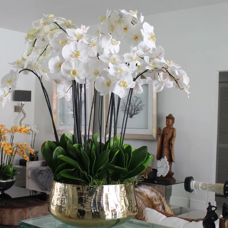 Roberi bowl with multiple stems of white Phalaenopsis orchids | Wayfair North America