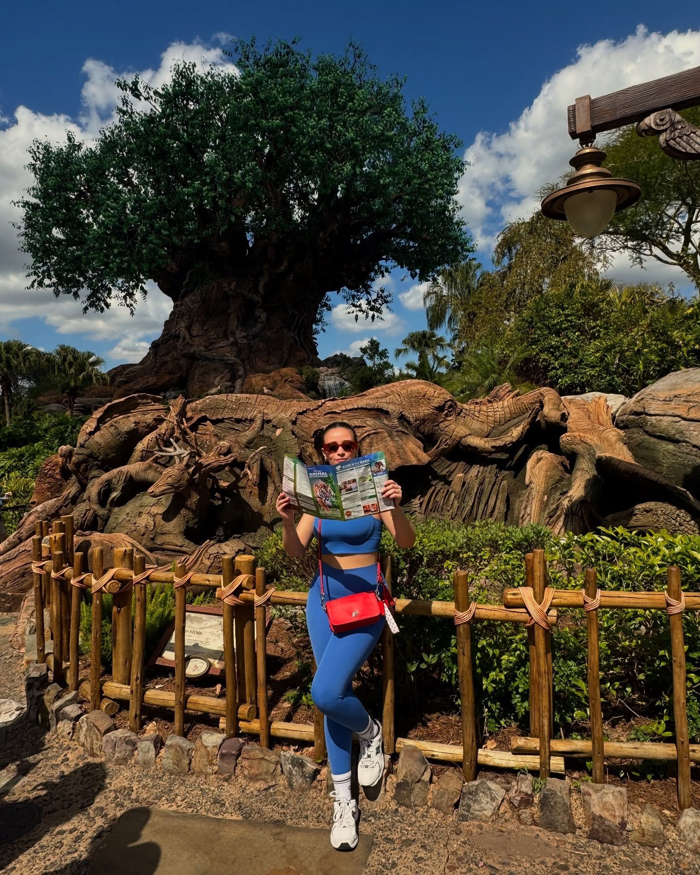Safari tour guide reporting for duty 🐅🦓🦒

Top and yoga pants @aerie 
Socks @alo 
Sneakers @newbalance 
Bag @coach 

Aesthetic camera roll, nyc blogger, pinterest inspo, aesthetic vibes, aesthetic feed, fem feed, daily look, style, safari, animal kingdom, walt disney world, Disney, outfit, outfits, currently wearing, nyc, new york city, ootd, outfit of the day, outfit inspo, outfit inspiration, fashion, fashion content, lifestyle, life content, fashion blogger, pinterest, Pinterest aesthetic, Pinterest inspired

#outfitoftheday #wiwt #style #ootd #styleinspiration  #igstyle #ootdfashion #winter  #outfitinspo #outfitinspiration #stylecrush #winter #cheer #snow #outfit #outfitinspo #outfits #outfitstyle #outfitinspiration #waltdisneyworld #waltdisneyworldresort #waltdisneystudios #animalkingdom #safari #fashion #fahionblogger #pinterest #pinterestinspired #pinterestaesthetic #fashion #fashionstyle

#LTKSeasonal #LTKActive #LTKSpringSale