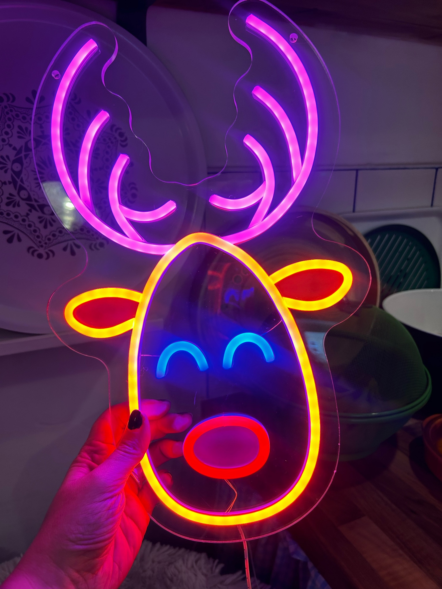 Habitat neon signs for Christmas lights 