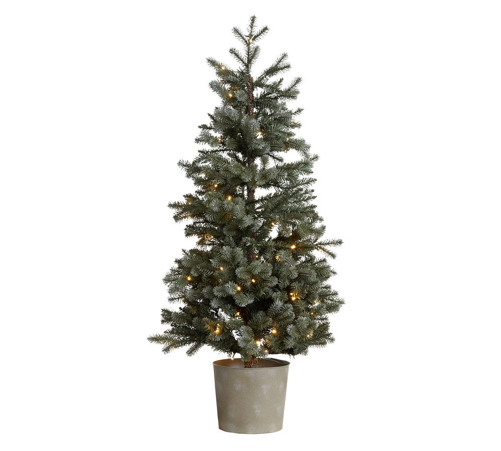 Pre-Lit Potted Faux Blue Spruce Trees | Pottery Barn (US)