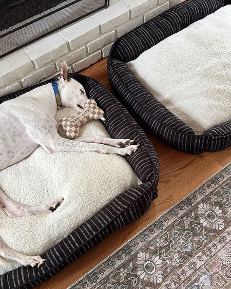 Petsmart 20% off sale ends tomorrow! Just picked up these two new dog beds! The large is the perfect size for our big dogs - but they have smaller sizes too!! The best brand!

#LTKfindsunder100