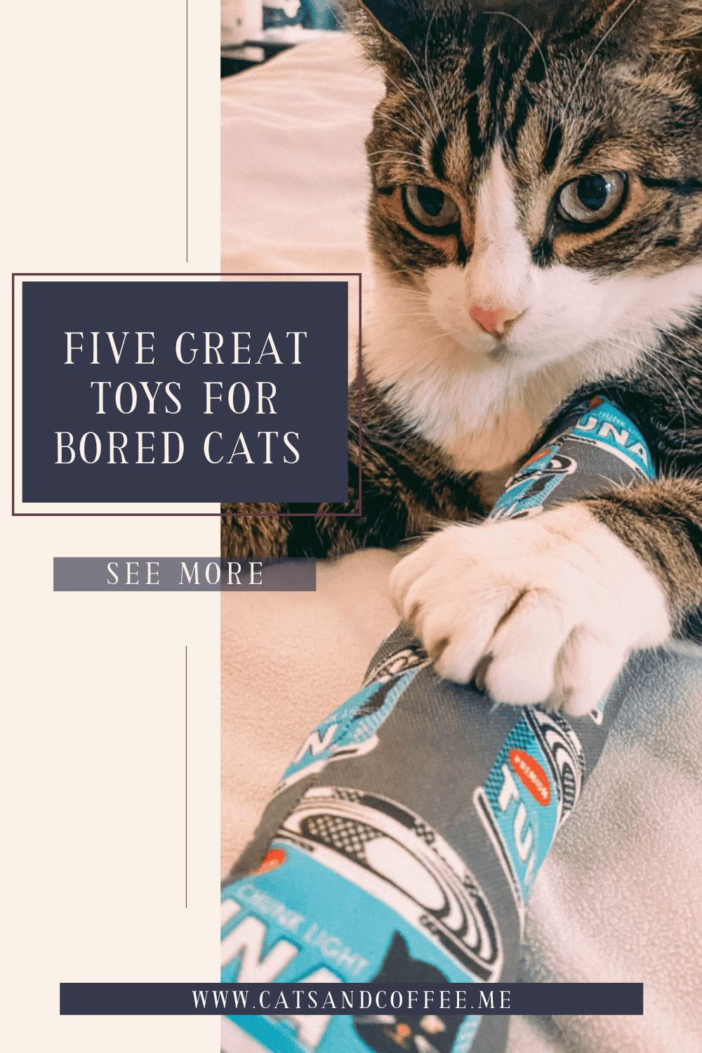 Five Top Cat Toys for Bored House Cats  😻 Whether you have one cat or multiple, cats can become bored rather easily. Whether they show little or declining interest in toys previously purchased, a bored cat might resort to acting out for stimulus. Here, I’m sharing the best toys for bored cats that my three cats love. Each option is readily available on Amazon, Chewy, or Etsy, and all are under $25 — the perfect way to treat your fur baby! 

 #LTKHome #LTKFindsUnder50 #LTKPets