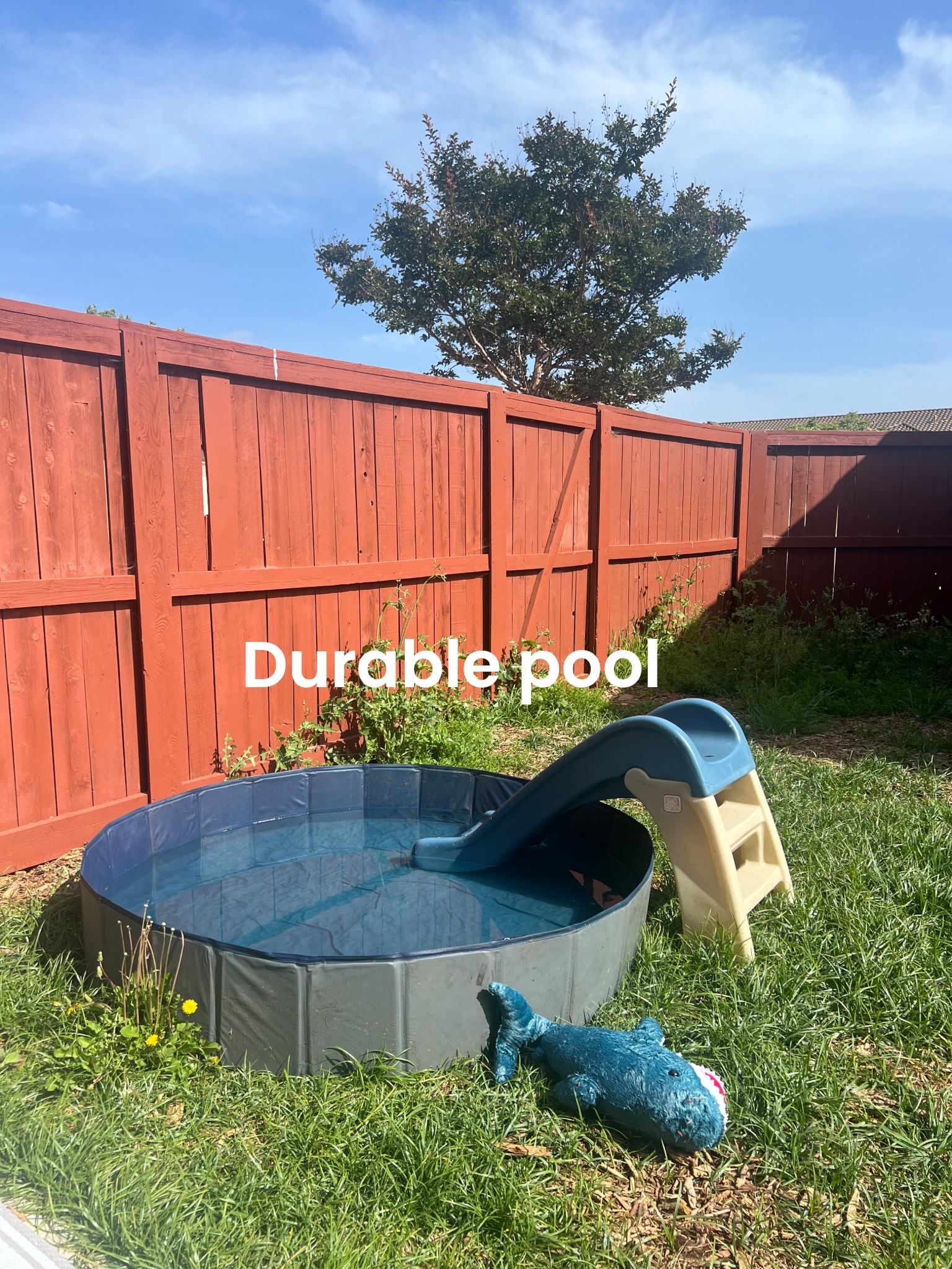 Perfect for pets & kids. A “chew proof” pool 😅

#LTKPets #LTKKids #LTKSummerEdit