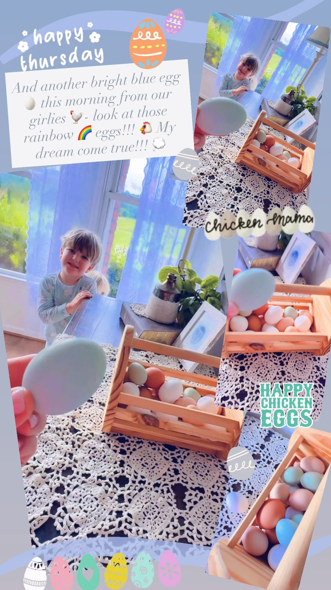 And another bright blue egg 🥚 this morning from our girlies 🐓- look at those rainbow 🌈 eggs!!! 🐔 My dream come true!!! 💭