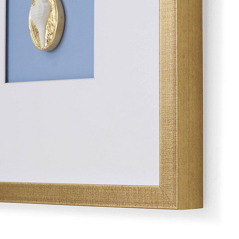 Shell Intaglio Shadow Boxes | Frontgate