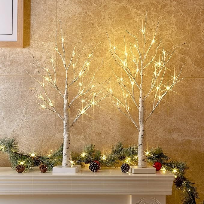 Christmas Decorations, 2FT Birch Tree with LED Lights, Warm White Light up Tree Lamp, Artificial Trees for Home Table Inside, Battery Powered, Timer 

 #LTKHome #LTKSaleAlert