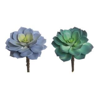 Assorted Echeveria Succulent Pick by Ashland® | Michaels Stores