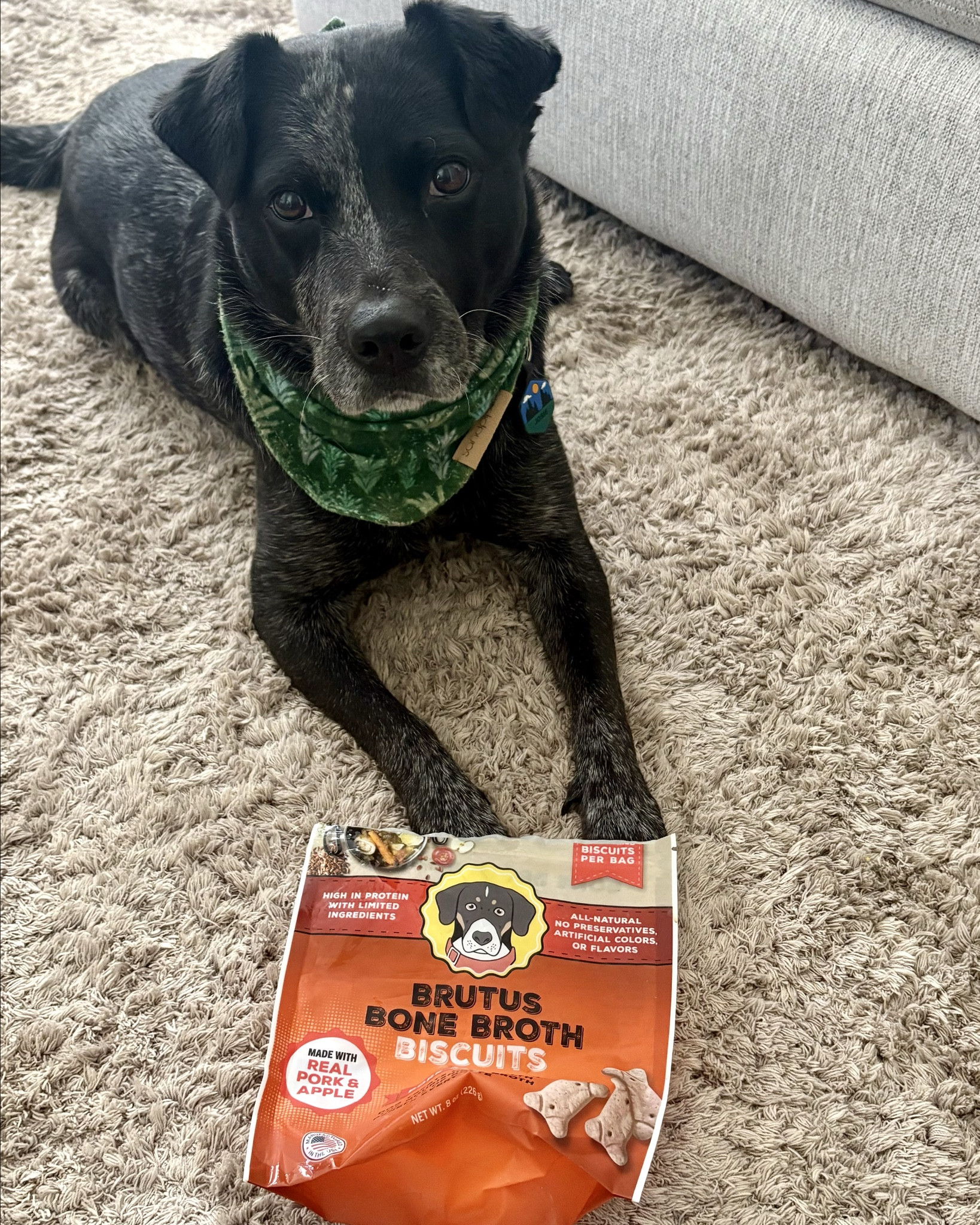 January Empties!

#LTKdayinmylife #LTKvlog #LTKfoodie