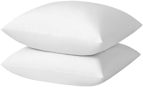 Euro Pillow Inserts 30x30 inchs - Feather and Down Fill - Cotton Fabric - Set of 2 Throw Pillow I... | Amazon (US)