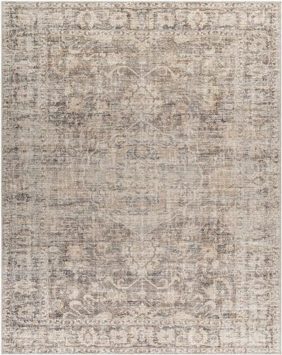 Hauteloom Minze Bohemian Vintage Medallion Area Rug - Damask Floral Fade Look Carpet for Living R... | Amazon (US)