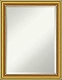 Amanti Art Framed Vanity Mirror | Bathroom Mirrors for Wall | Townhouse Gold Mirror Frame | Solid Wo | Amazon (US)
