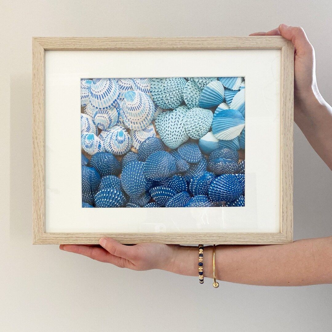 Seashells Fine Art Print - Etsy | Etsy (US)