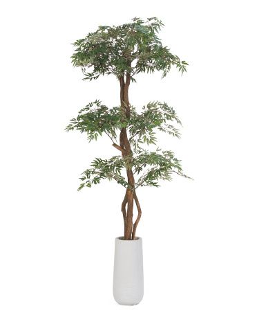 6ft Ming Aralia Tree With Real Bark Covered Trunk | Home Essentials | Marshalls | Marshalls