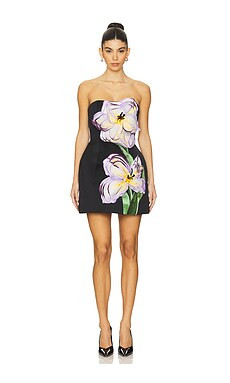 LEO LIN Rosalie Appliqué Floral Bustier Mini Dress in Iris Print in Ebony from Revolve.com | Revolve Clothing (Global)
