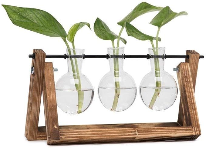 Hyindoor Plant Terrarium with Vintage Wooden Stand and Metal Rotating Rod for Hydroponics Propaga... | Amazon (US)