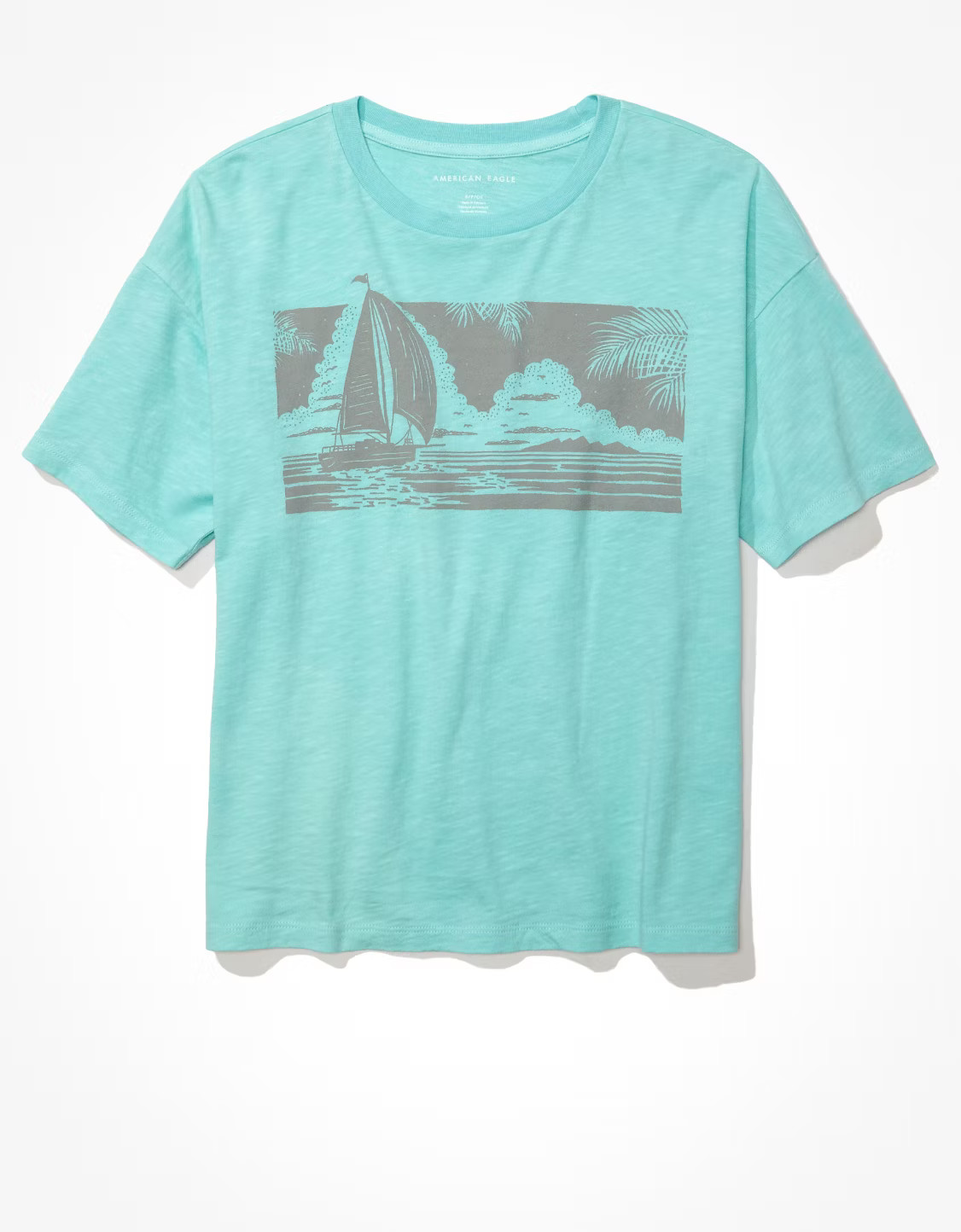 AE Graphic Tee | American Eagle Outfitters (US & CA)