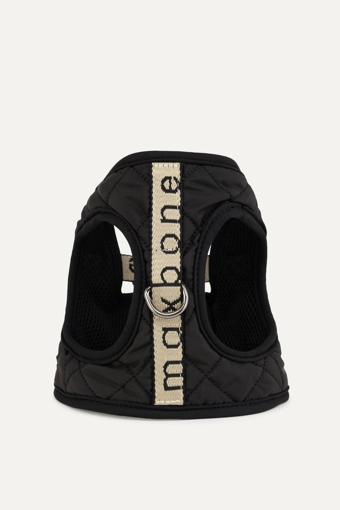 Globe Trotter Harness | max-bone