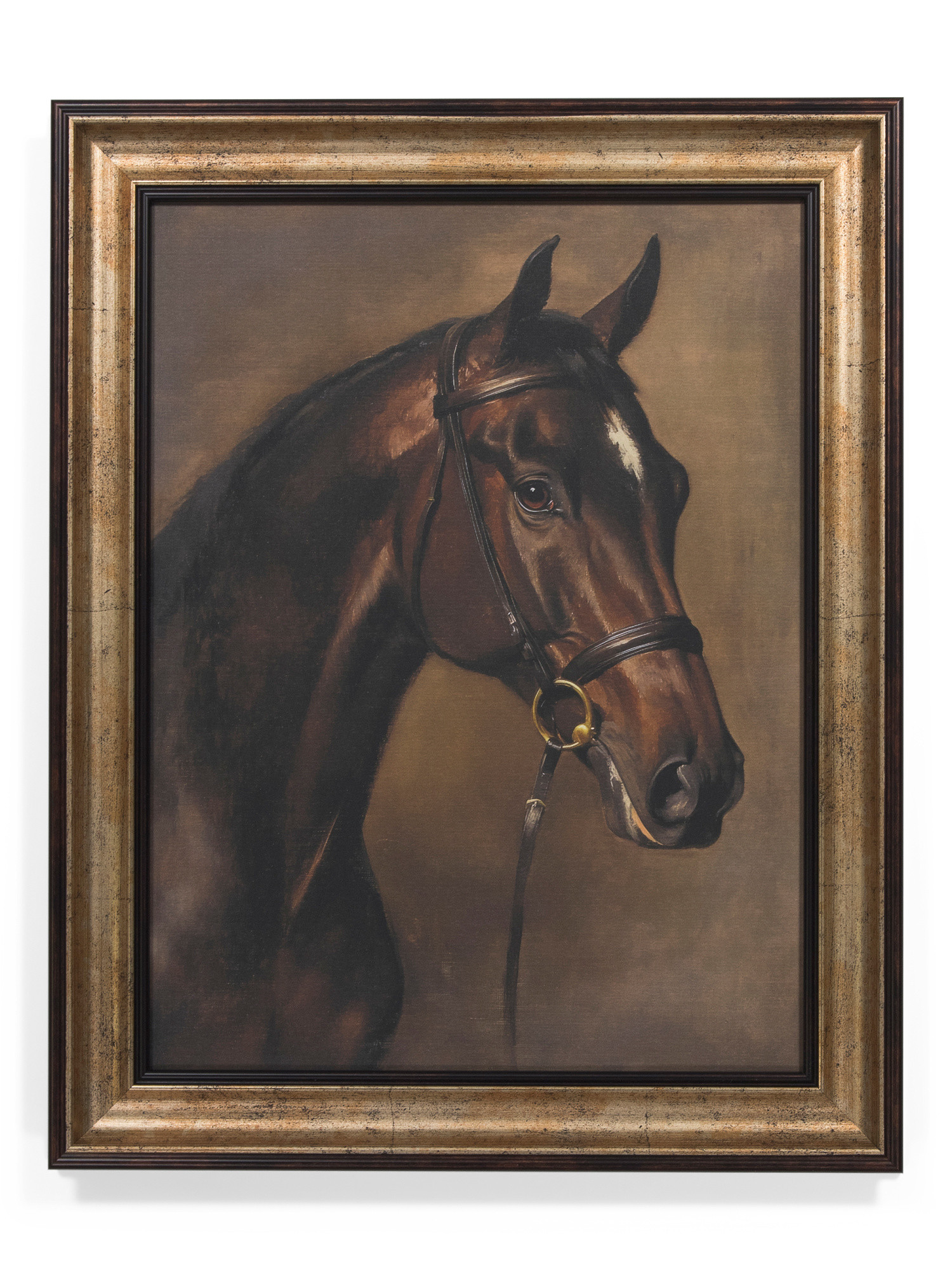 16x20 Chestnut Horse Portrait Wall Art | TJ Maxx