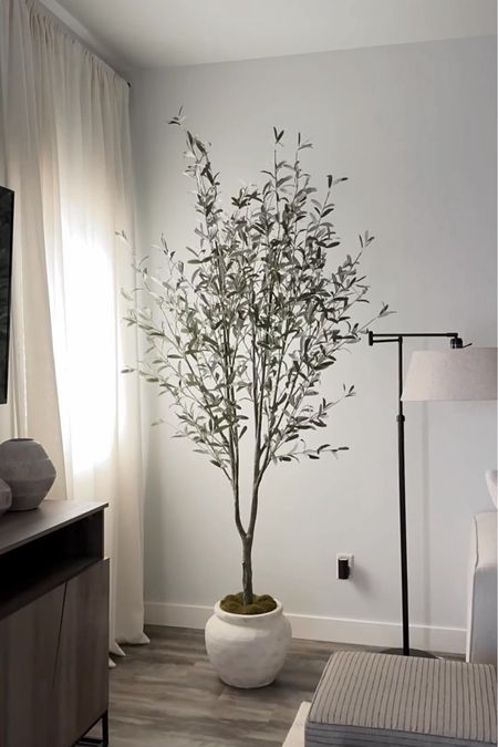 Viral & best selling Target olive tree is on sale! 🙌🏼

#LTKHome #LTKSaleAlert