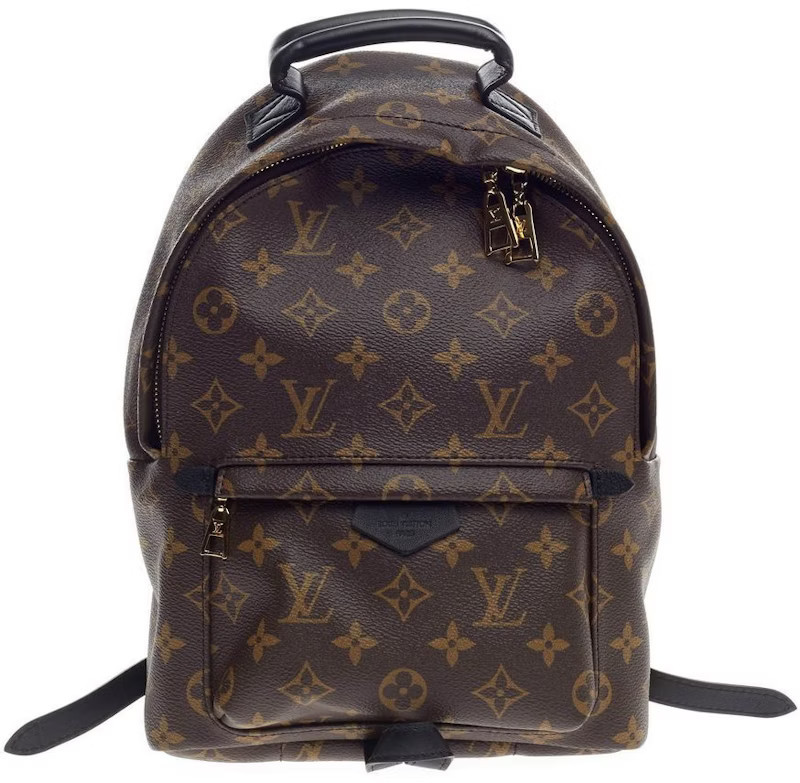 Louis Vuitton Palm Springs Monogram PM Brown Backpack | StockX