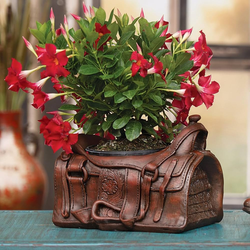 Visit the BLACK FOREST DECOR Store | Amazon (US)