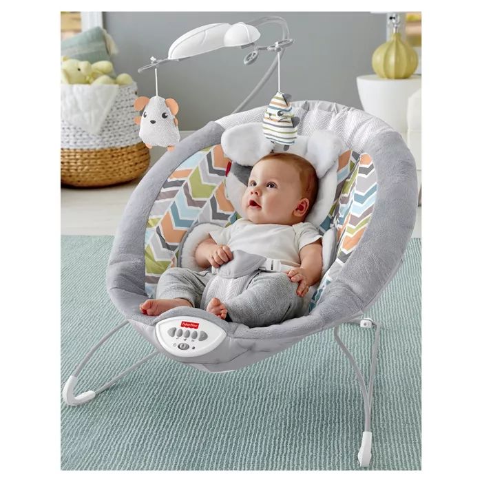 Fisher-Price Sweet Snugapuppy Dreams Deluxe Bouncer | Target