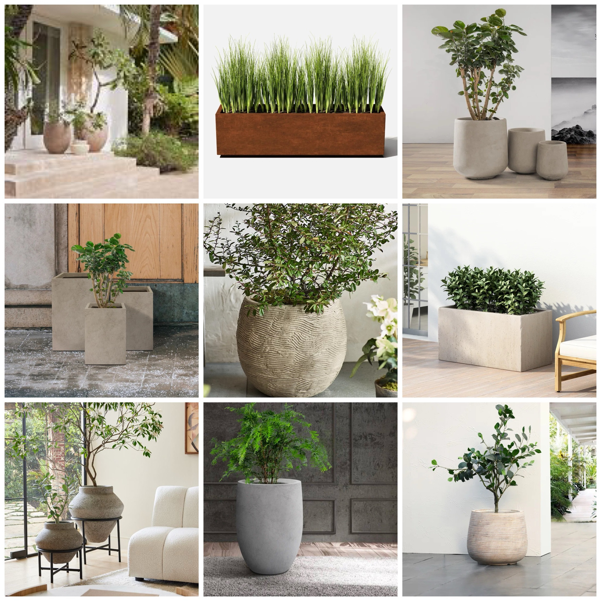 Some of my favorite planters. Make your real plants or faux plants stand out with these amazing plant pots and planters

#LTKsalealert #LTKhome #LTKstyletip