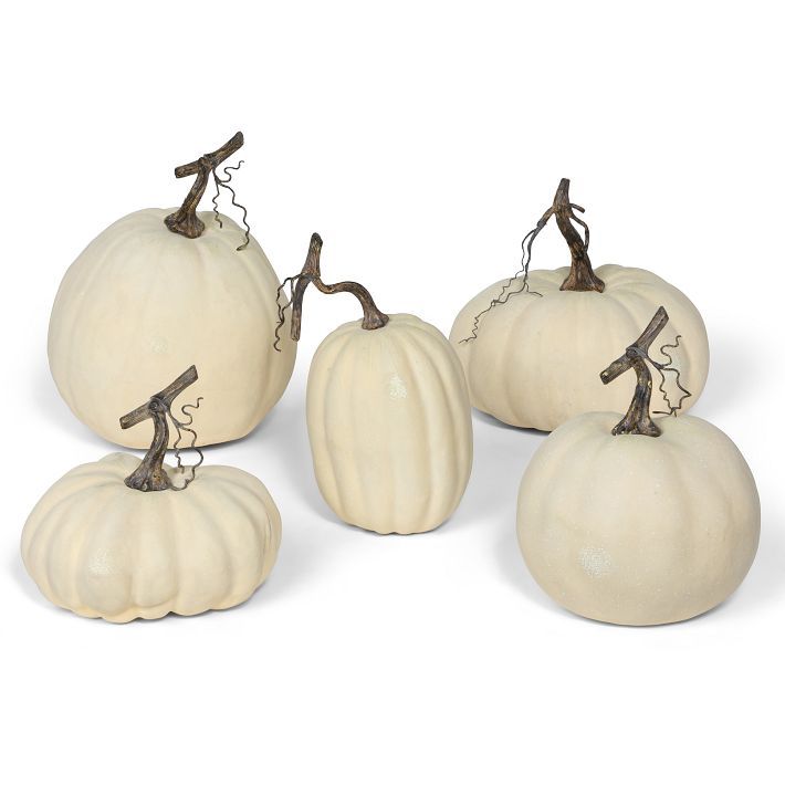 Full Moon Pumpkins (Set of 5) | West Elm (US)