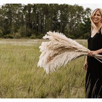 4 Ft Medium Natural Fluffy Pampas Grass | Etsy (US)