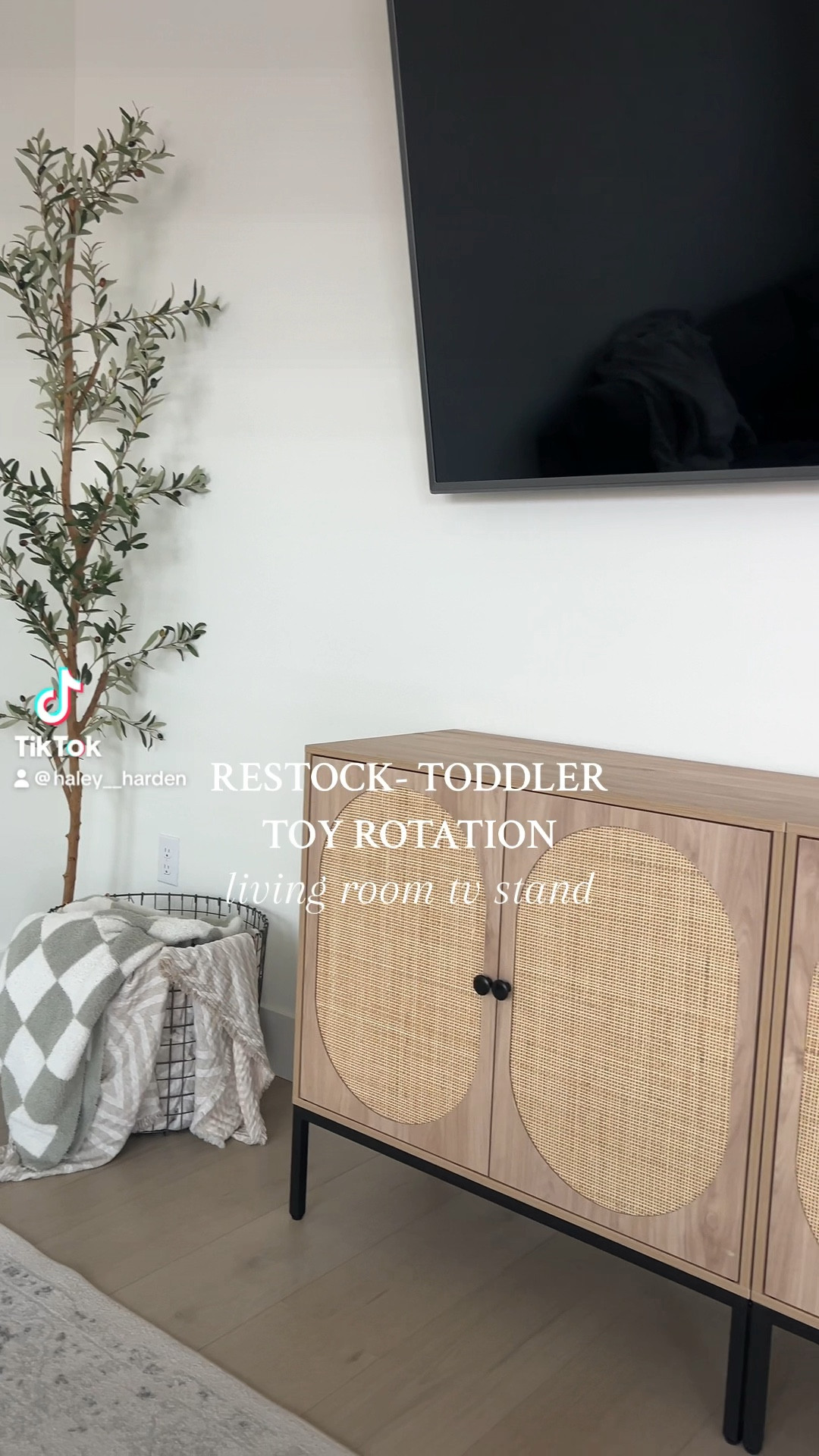 All the products I used for my toddler’s toy organization in our living room!

#LTKfamily #LTKhome #LTKkids