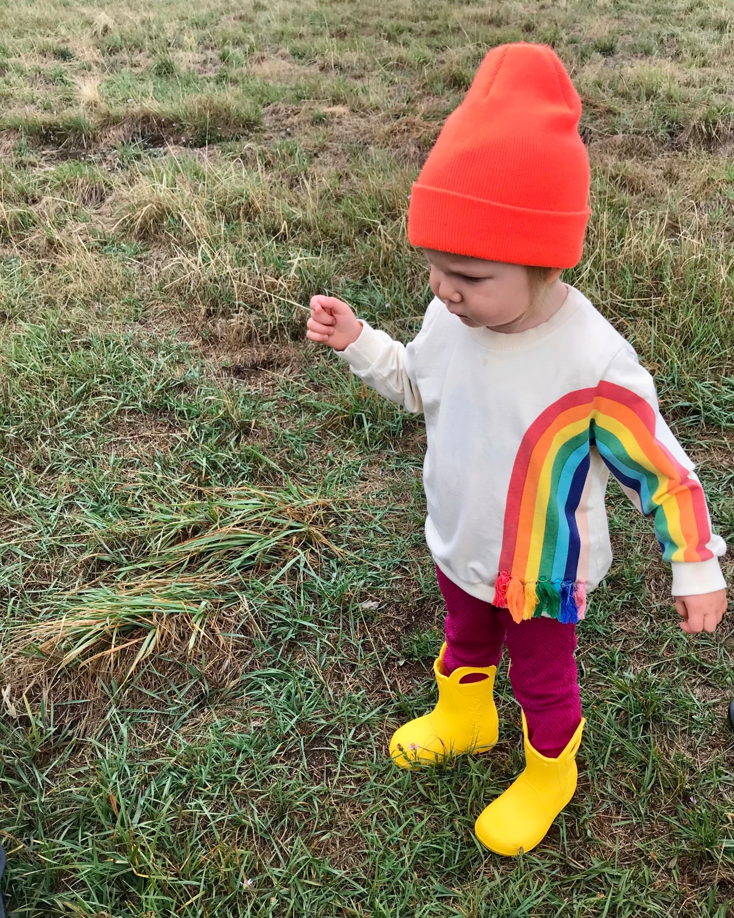 Colorful style for colorful days 🌈 My daughter is rocking the cutest rainbow crewneck sweater, paired with red leggings, an orange Carhartt beanie, and yellow Crocs rain boots. Cozy, practical, and so fun—this outfit is perfect for school, playdates, or rainy-day adventures! 🌧️💛
#KidsOOTD #CrocsKids #CarharttKids #ToddlerFashion #LTKKids #LTKFamily #LTKBackToSchool #KidsWardrobe #ColorfulStyle

#LTKSeasonal #LTKBaby #LTKKids