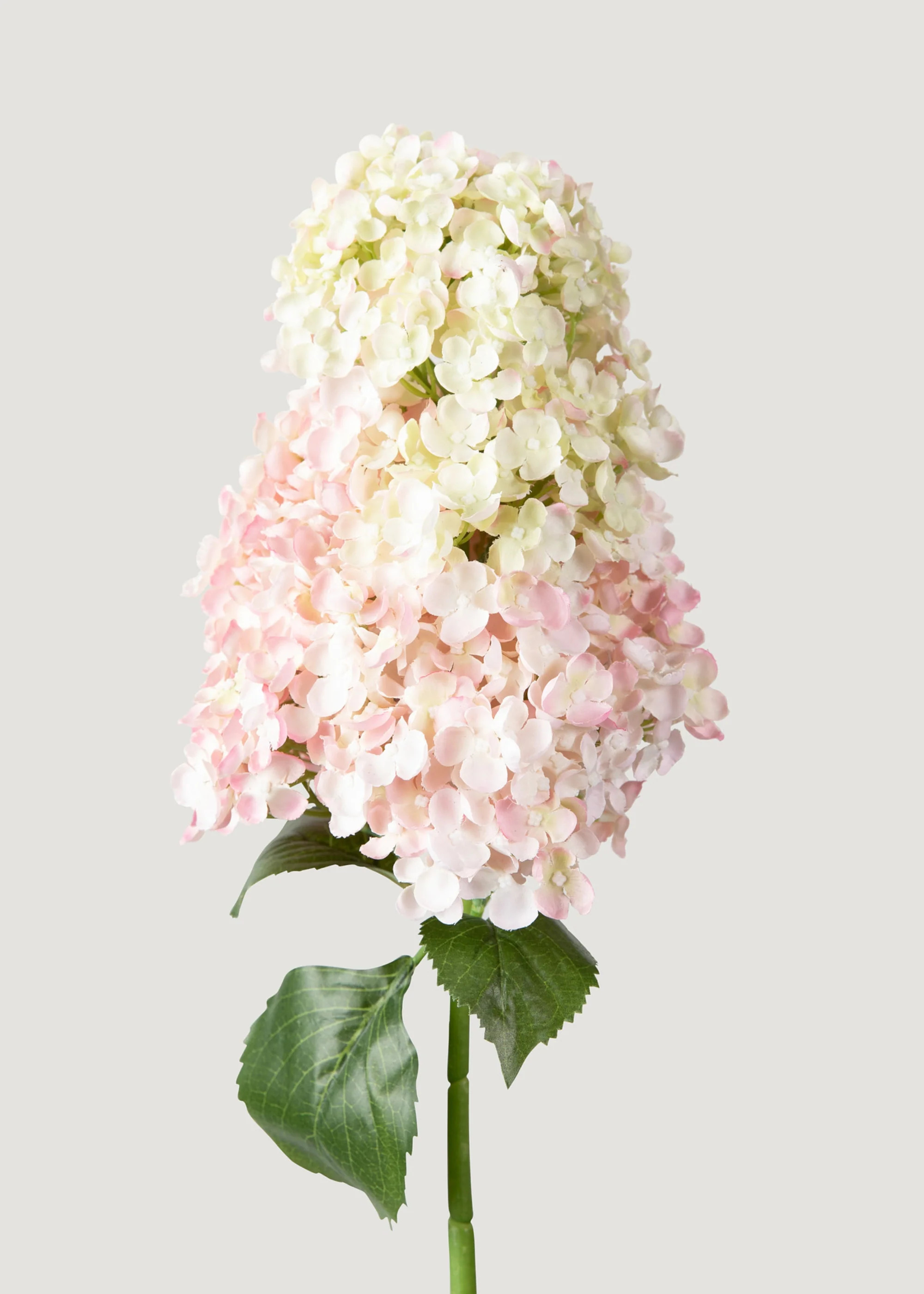 Pink Cream Cone Hydrangea | Best Artificial Flowers | Afloral | Afloral
