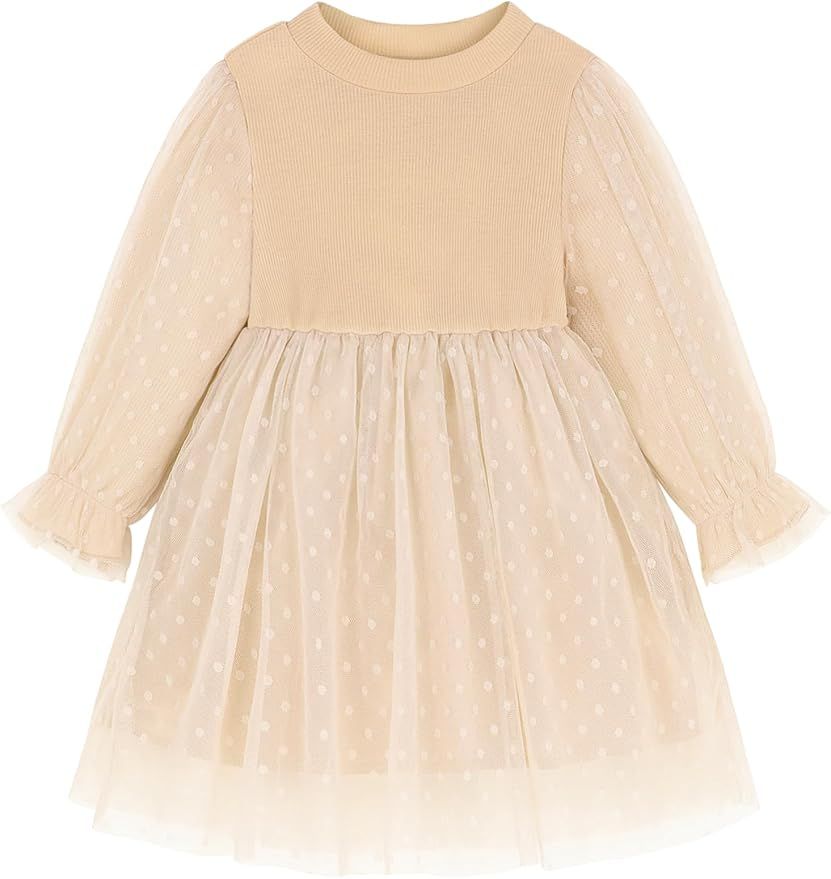 Toddler Girl Dress Baby Lace Long Sleeve Swiss Dot Tulle Princess Dresses 12M-5T | Amazon (US)