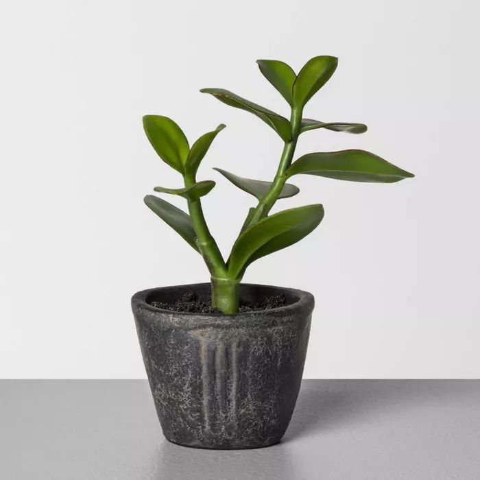 7.5&#34; Faux Jade Potted Plant - Hearth &#38; Hand&#8482; with Magnolia | Target