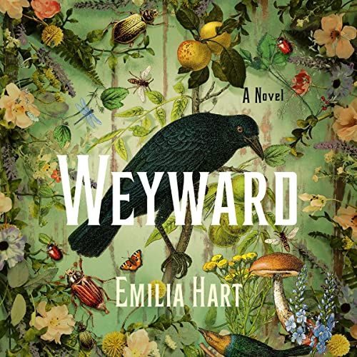 Weyward: A Novel | Amazon (US)
