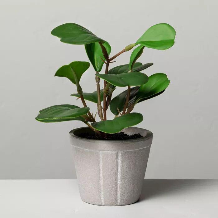 7" Mini Faux Hoya Heart Potted Plant - Hearth & Hand™ with Magnolia | Target