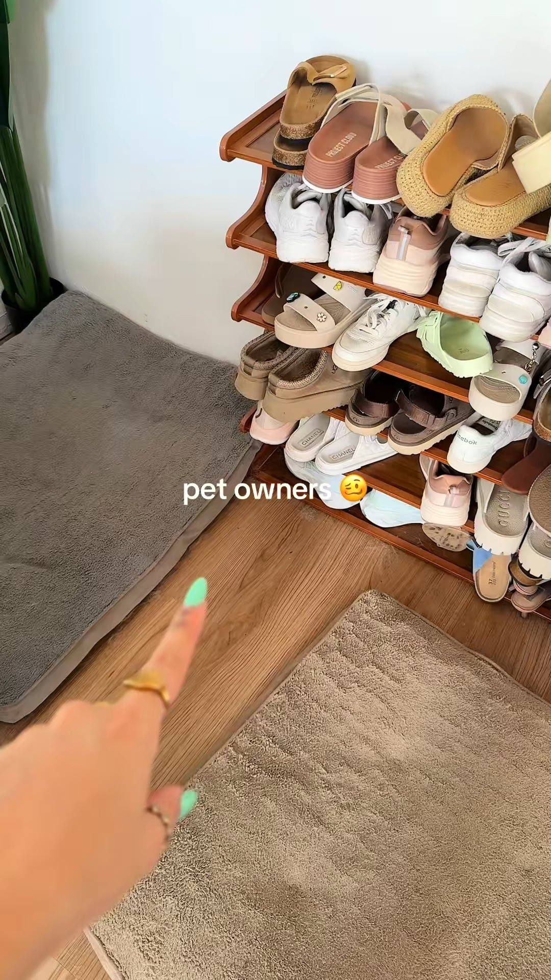 Attention pet owners!

#LTKHome #LTKU #LTKvlog