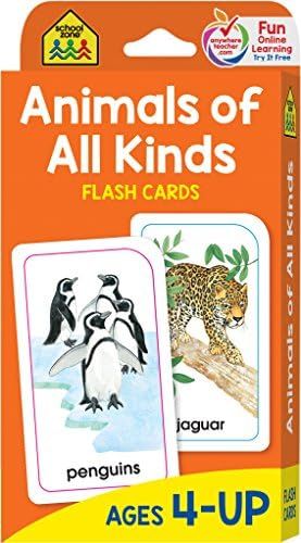 School Zone - Animals of All Kinds Flash Cards - Ages 4 and Up, Preschool, Kindergarten, Animal N... | Amazon (US)