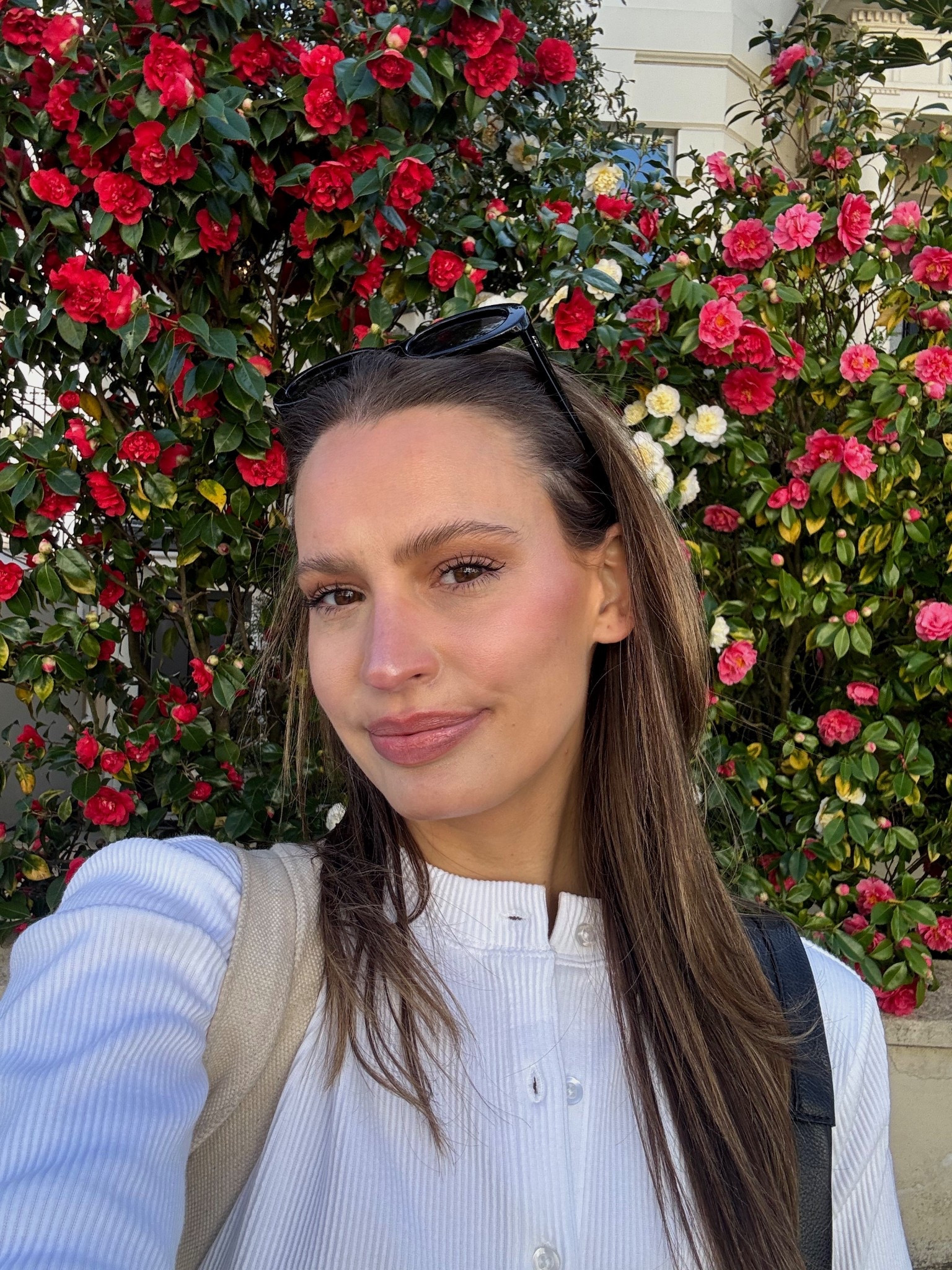 Current beauty faves! #ltkbeauty

#LTKBeauty #LTKStyleTip