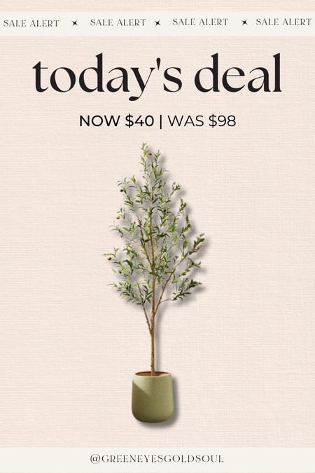 Walmart flash deals! Artificial olive tree - was $98 now $40

#LTKSaleAlert #LTKHome #LTKFindsUnder50