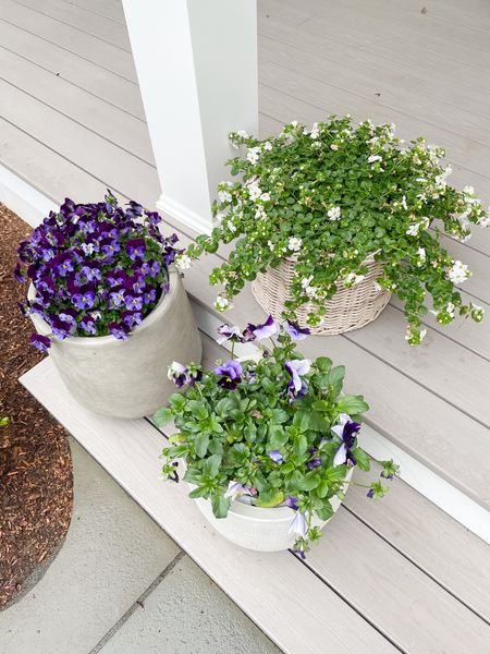 #AD
#LowesPartner
@LowesHomeImprovement Memorial Day sale is here!  
These annuals are so pretty and on sale for the holiday!

Shop greenery, tools, patio sets, lawn care and more! 

#LTKhome #LTKSeasonal