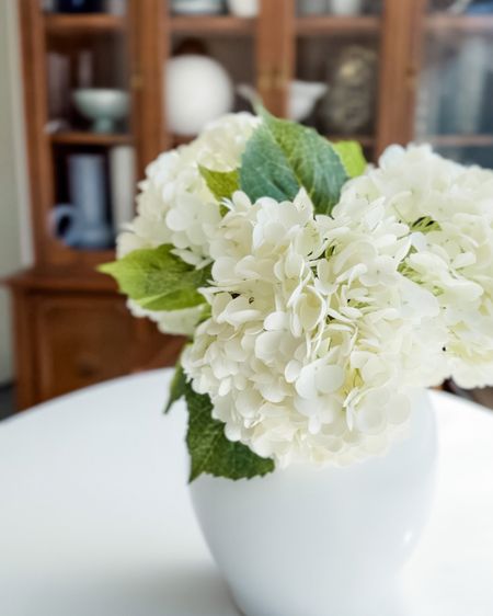 Faux stems are a fun way to bring in the seasons👏🏼  these hydrangeas are beautiful and on sale now!

Faux stems, faux florals, seasonal blooms, hydrangeas, seasonal home decor, wine glasses, dining room, living room, kitchen, bedroom, entryway, Modern home decor, traditional home decor, budget friendly home decor, Interior design, look for less, designer inspired, Amazon, Amazon home, Amazon must haves, Amazon finds, amazon favorites, Amazon home decor #amazon #amazonhome



#LTKHome #LTKFindsUnder50 #LTKSaleAlert